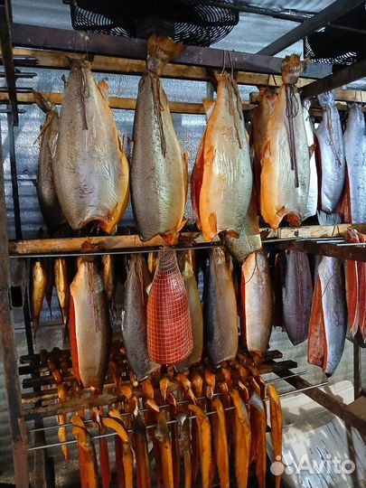 Копчёная и солёная рыба оптом