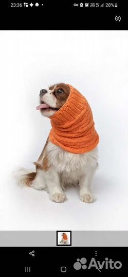 Вяжу на заказ небольшие вещи на людей и животных