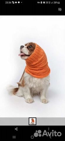 Вяжу на заказ небольшие вещи на людей и животных