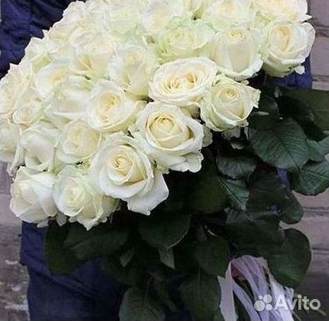 Высокие Розы Гиганты Доставка Круглосуточно