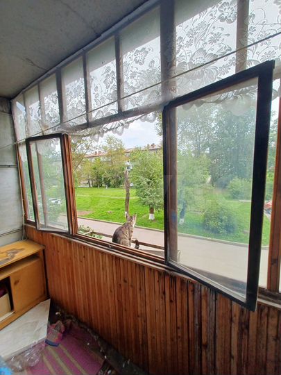 1-к. квартира, 31 м², 2/5 эт.