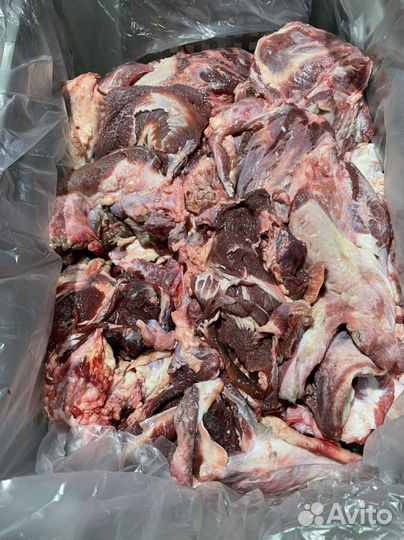 Мясо говядина б/к