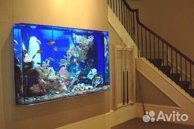 Чистка и обслуживание аквариумов на дому и в офисе