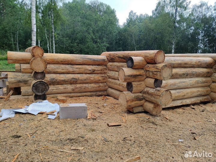 Рубка срубов