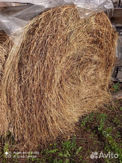 Продам сено в рулонах 2023 года