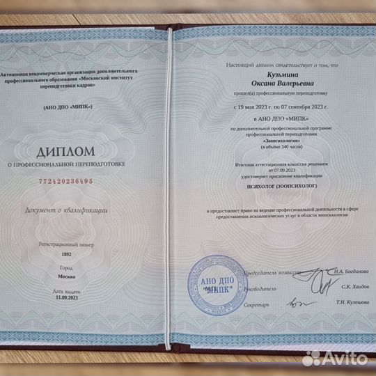 Консультация зоопсихолога