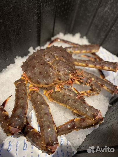 Краб камчатский