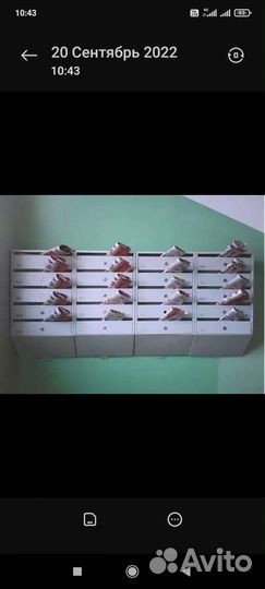 Раскидчик газет