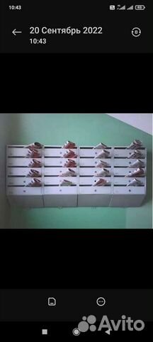 Раскидчик газет