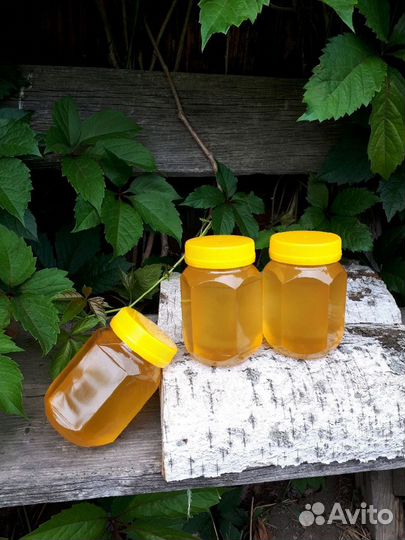 Мед липовый Башкирский