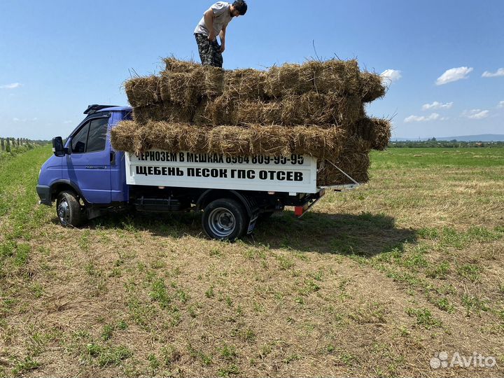 Сено с доставкой 180рублей