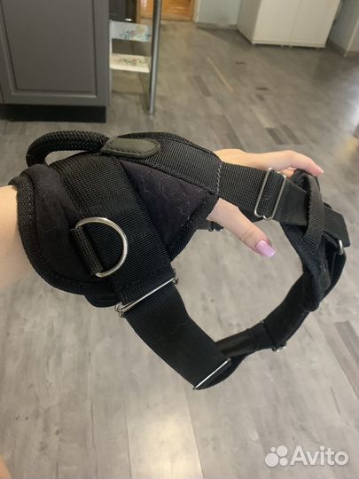 Шлейка для большой собаки