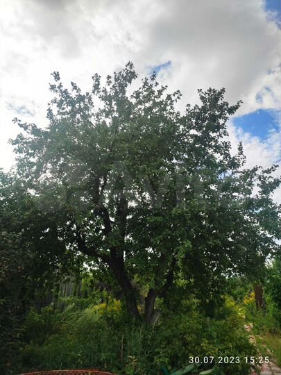 Дом 25 м² на участке 6 сот.