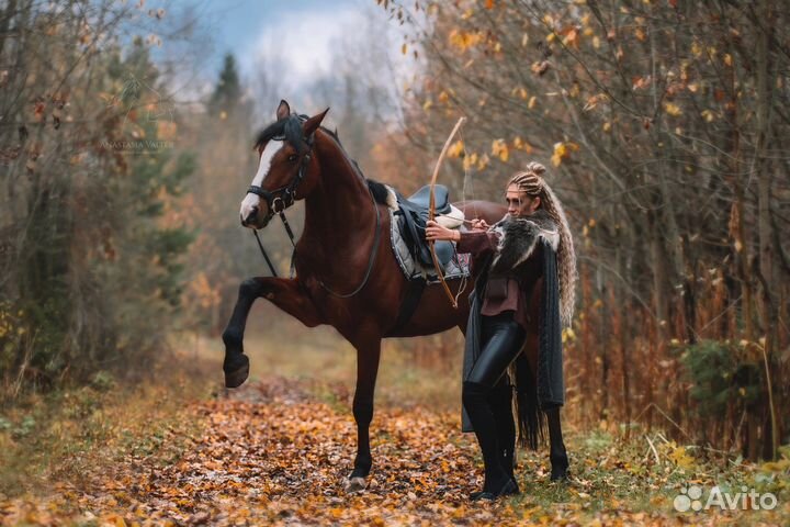 Фотосессии с лошадьми и собаками