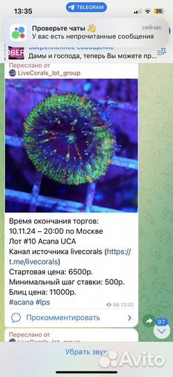 Кораллы для морского аквариума