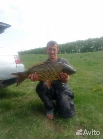 Платная рыбалка воронеж