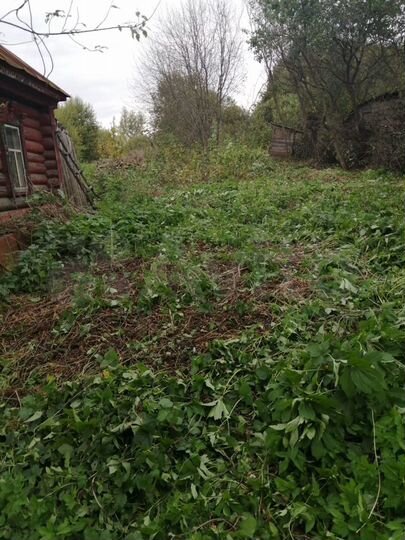 Дом 50 м² на участке 30 сот.