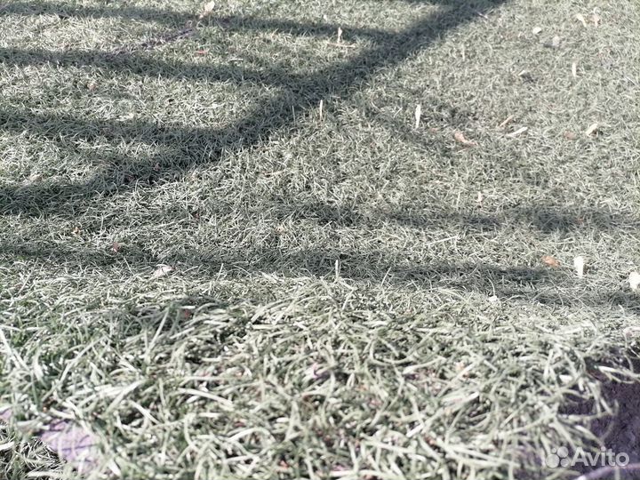 Искусственная трава Б/У