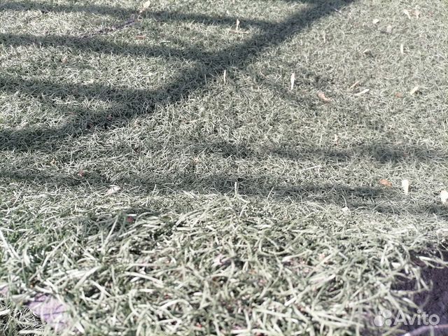 Искусственная трава Б/У