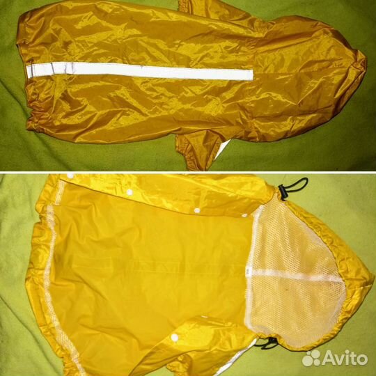 Одежда и обувь для собак