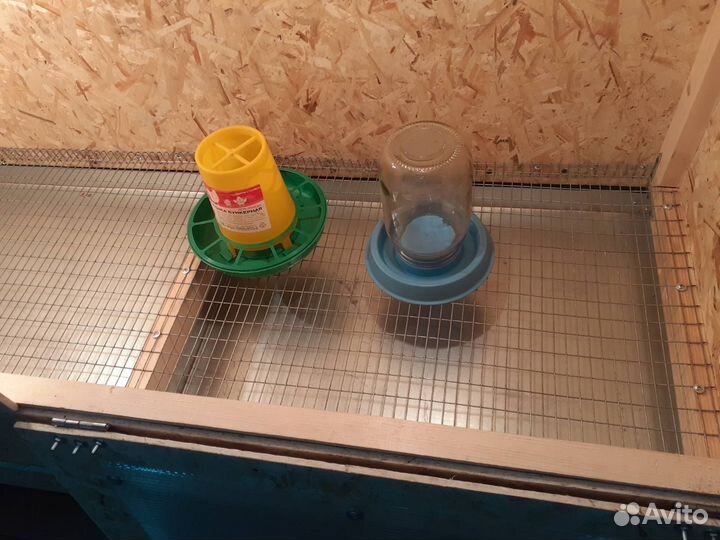 Брудер для цыплят, утят, гусят и т.д