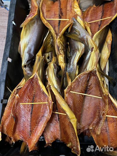 Холодного копчения горбуша, скумбрия, тунец, масл