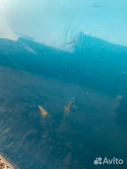 Дверь левая мазда 323 f ba