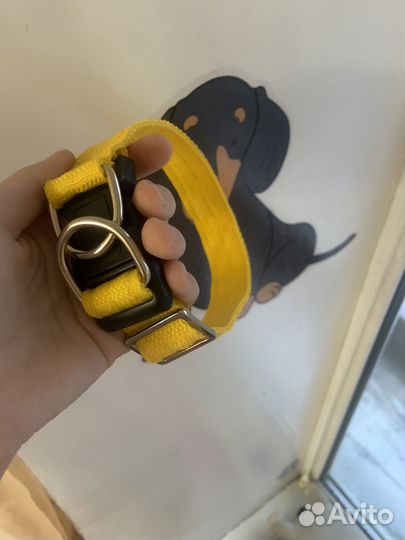 Ошейник для собак