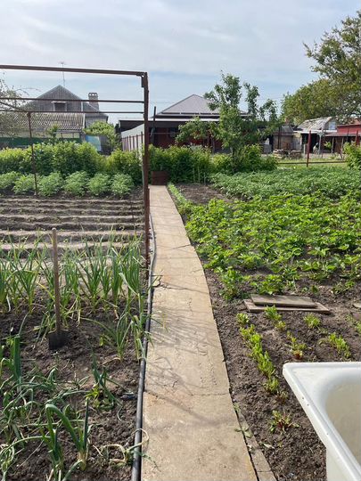 Дом 77 м² на участке 5,35 га