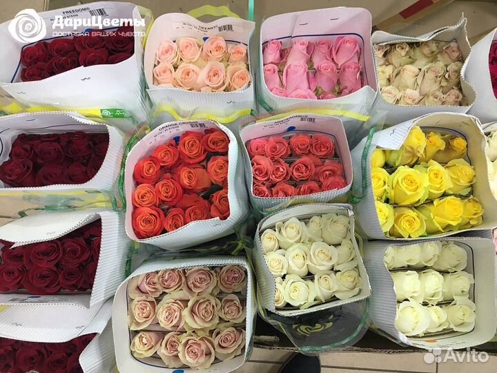 Живые цветы букеты доставка круглосуточно