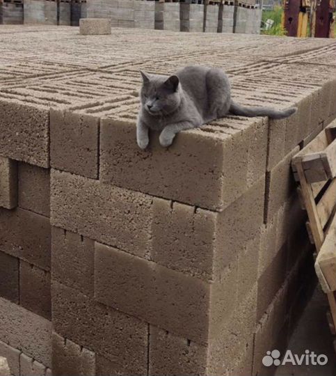 Керамзито Бетоные Блоки
