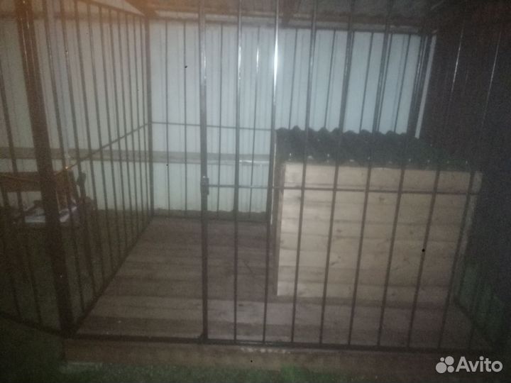 Вольер для собаки