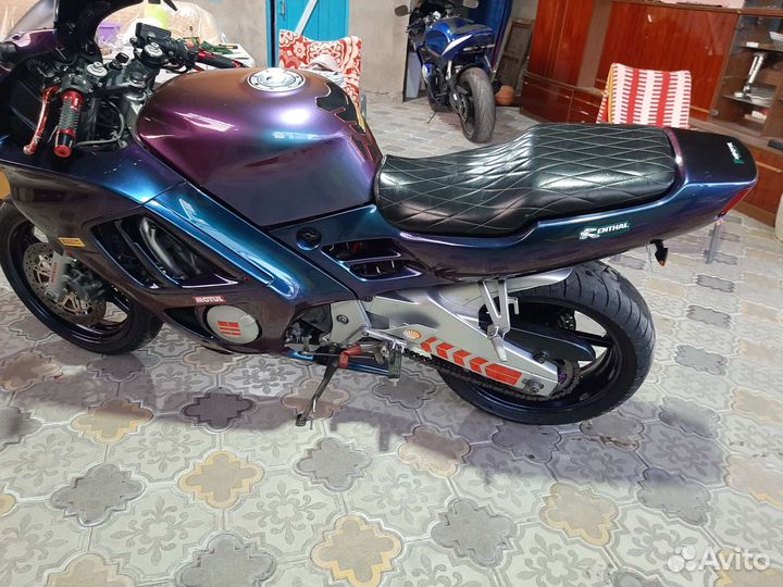 Хонда сбр 600f3