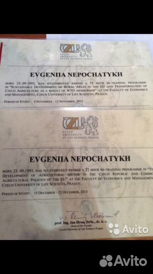 Переводчик