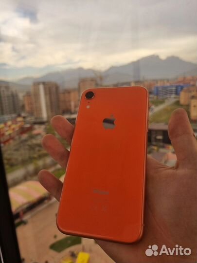 iPhone Xr, 64 ГБ