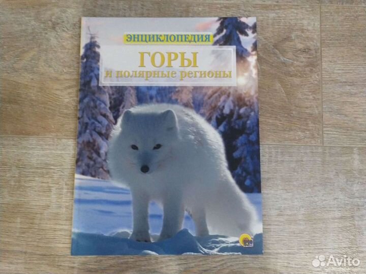 Энциклопедия для детей 