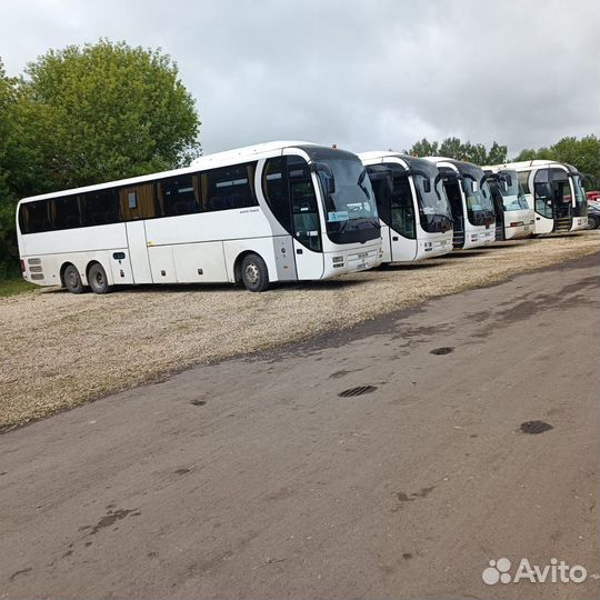 Аренда автобуса. Пассажирские перевозки