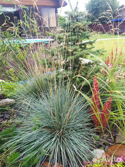 Сад.благоустройство