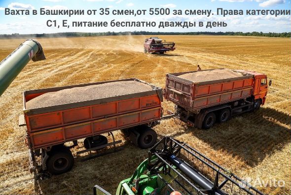 Водитель камаза се/С1Е вахта проживание