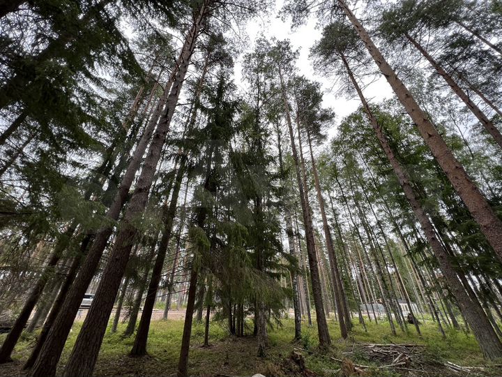 Участок 12,6 сот. (ИЖС)