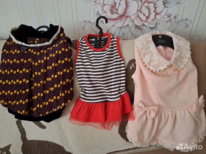 Одежда для маленьких собак,б/у