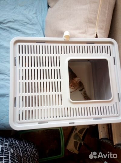 Туалет закрытый для кошек