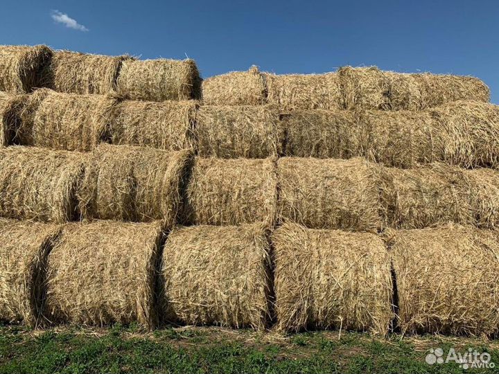 Сено в рулонах