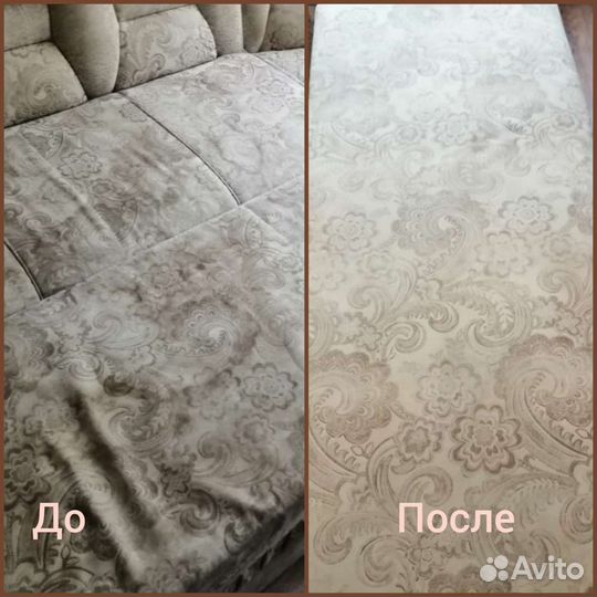 Моющий пылесос и пароочиститель в аренду