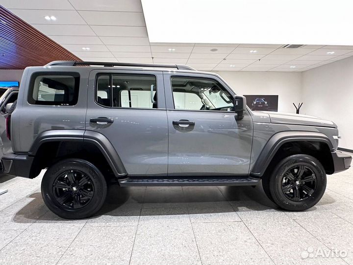 Tank 300 2.0 AT, 2024