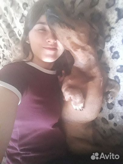 Передержка котов и кошек, пока вы в отпуске