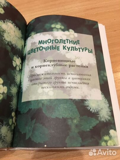 Книга Цветы на вашем участке О.Ганичкина