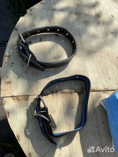 Поводки и ошейники