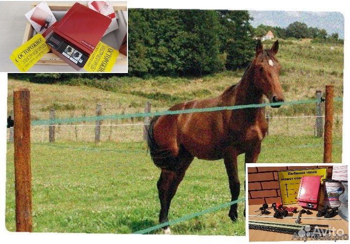 Электропастух