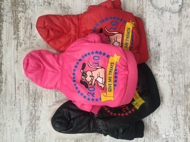 Теплая одежда для собак